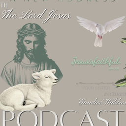 Podcast thumbnail for Pursuing the Path of Purity Podcast