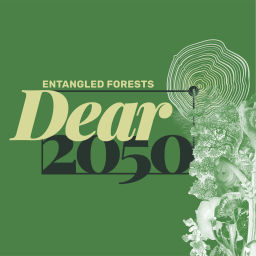 Podcast thumbnail for Dear2050: Hotcast