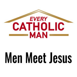 Podcast thumbnail for Every Catholic Man - Men Meet Jesus Podcast