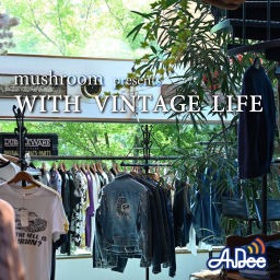 Podcast thumbnail for mushroom presents WITH VINTAGE LIFE