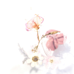 Podcast thumbnail for brown girl Poetry