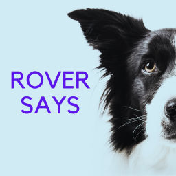 Podcast thumbnail for Rover Says