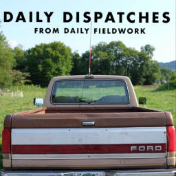 Podcast thumbnail for DAILY DISPATCHES