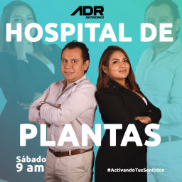 Podcast thumbnail for HOSPITAL DE PLANTAS