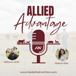 Podcast thumbnail for The Allied Advantage