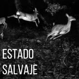 Podcast thumbnail for Estado Salvaje
