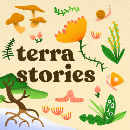 Podcast thumbnail for Terra Stories