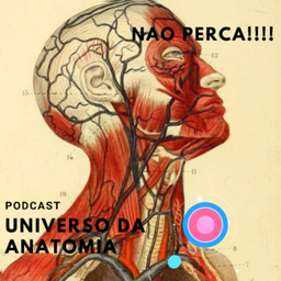 Podcast thumbnail for Universo da Anatomia