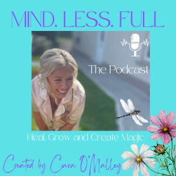 Podcast thumbnail for Mind.Less.Full