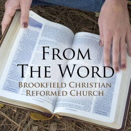 Podcast thumbnail for From the Word