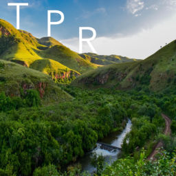 Podcast thumbnail for The Positivity Report TPR