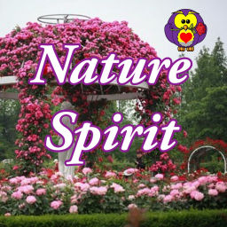 Episode thumbnail for Nature Spirit