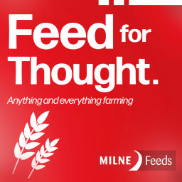 Podcast thumbnail for Feed for Thought