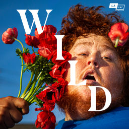 Podcast thumbnail for WILD