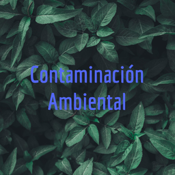 Podcast thumbnail for Contaminación Ambiental