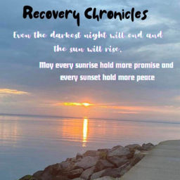 Podcast thumbnail for Recovery chronicals