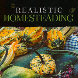 Podcast thumbnail for A Day in The Simple Life, Realistic Homesteading