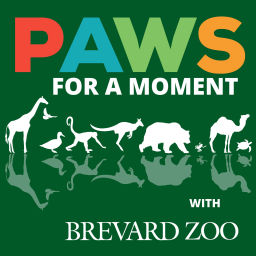 Podcast thumbnail for Paws for a Moment