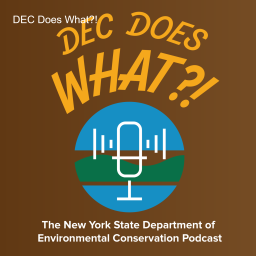 Podcast thumbnail for DEC Does What?!