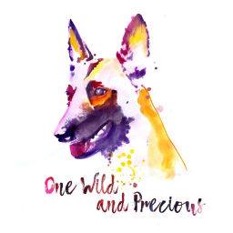 Podcast thumbnail for Our One Wild And Precious Lives (And Our Dogs)