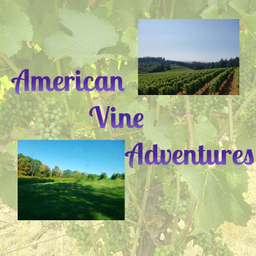 Podcast thumbnail for American Vine Adventures