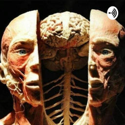 Podcast thumbnail for Openin Vessel