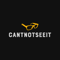 Podcast thumbnail for Can't Not See It