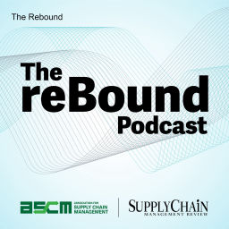 Podcast thumbnail for The Rebound