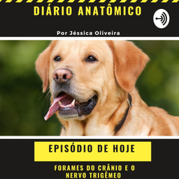 Podcast thumbnail for Diário Anatômico