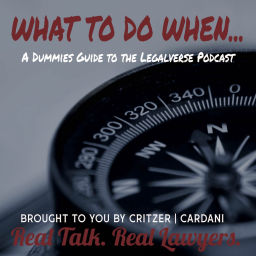 Podcast thumbnail for What to Do When... A Dummies Guide to the Legalverse Podcast