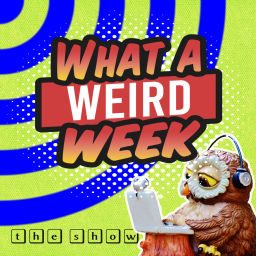 Podcast thumbnail for What a Weird Week