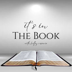 Podcast thumbnail for It’s in The Book