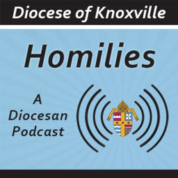 Podcast thumbnail for Diocese of Knoxville Homilies