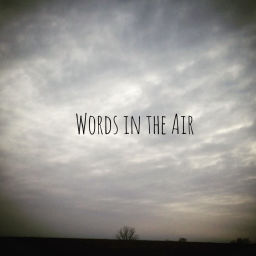 Podcast thumbnail for Words in the Air
