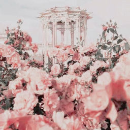 Podcast thumbnail for Aphrodite's Den