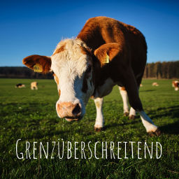 Podcast thumbnail for Grenzüberschreitend