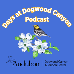 Podcast thumbnail for Days at Dogwood Canyon