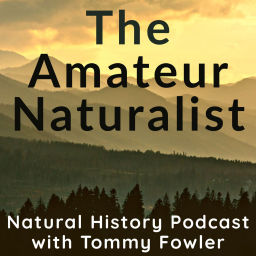 Podcast thumbnail for The Amateur Naturalist