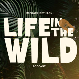 Podcast thumbnail for Life In The Wild with Michael Bethany