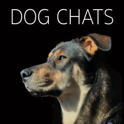 Podcast thumbnail for Dog Chats