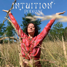 Podcast thumbnail for Intuition