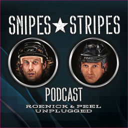 Podcast thumbnail for SNIPES & STRIPES