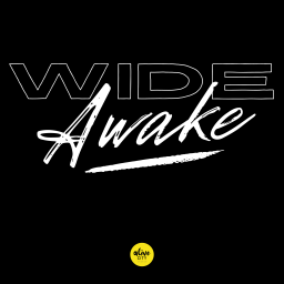 Podcast thumbnail for Wide Awake