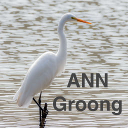 Podcast thumbnail for Armenian News Network - Groong: Week In Review Podcast