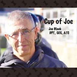 Podcast thumbnail for A Cup of Joe
