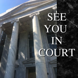 Podcast thumbnail for See You In Court