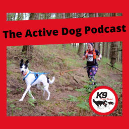 Podcast thumbnail for The Active Dog Podcast