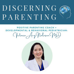Podcast thumbnail for Discerning Parenting