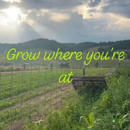 Podcast thumbnail for Grow Where You’re At