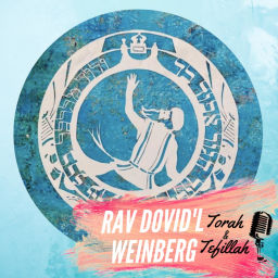 Podcast thumbnail for Rav Dovid'l Weinberg // Torah & Tefillah